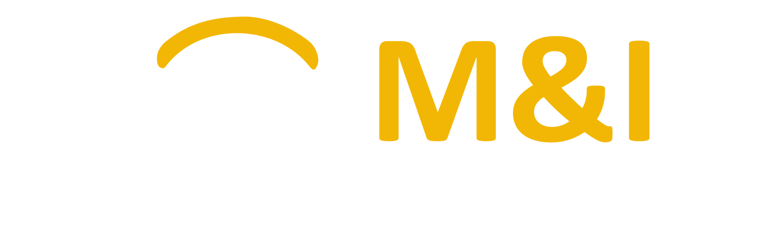 M & I TAXI LTD